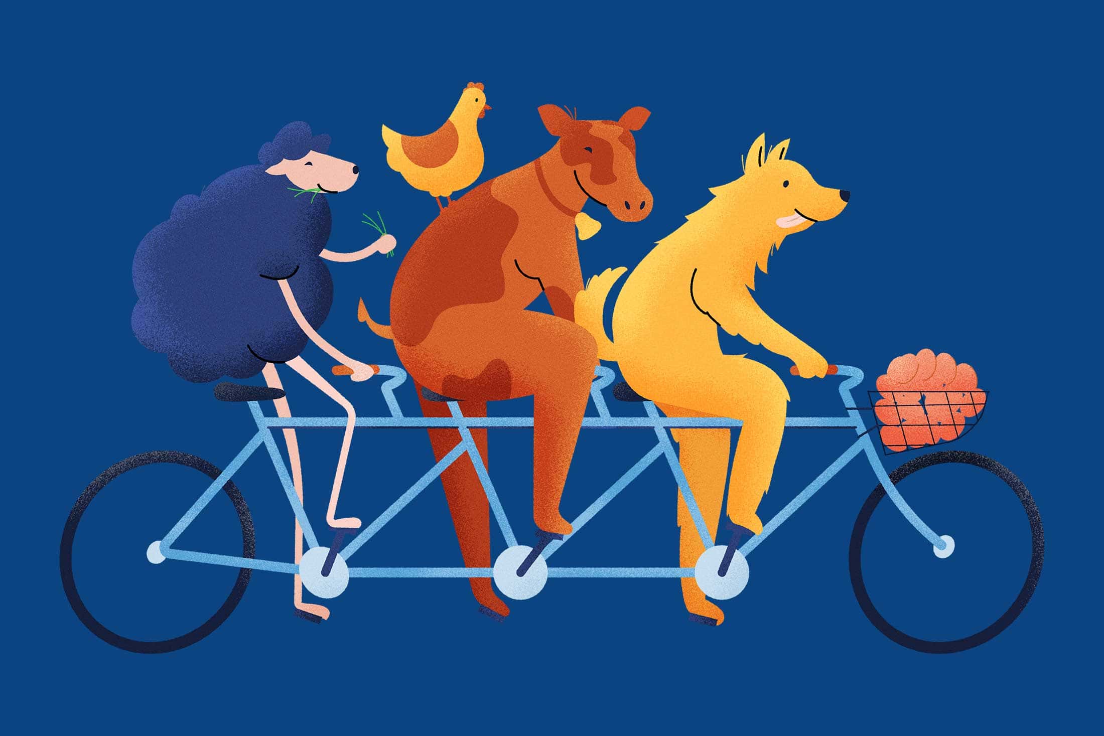 Lamond Farm: Lamond Farm Bike Illustration farm fresh